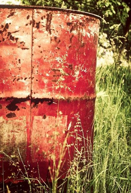 Sektempfang im Garten mit Gasten unter Baumen und sommerlicher Tischdekoration